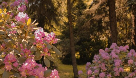 Lehűlés a hónap végéig