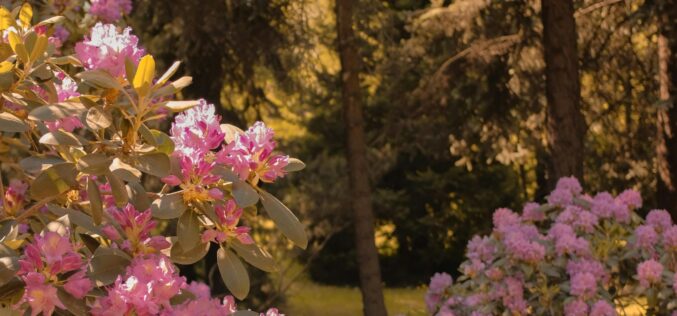 Lehűlés a hónap végéig