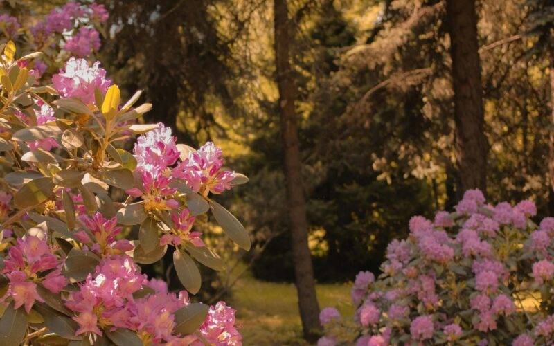 Lehűlés a hónap végéig