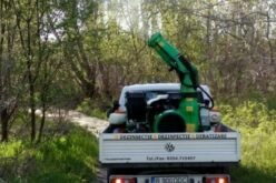 Első szúnyogirtás