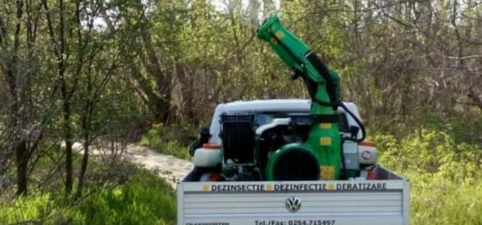 Első szúnyogirtás