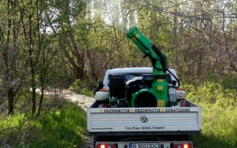 Első szúnyogirtás