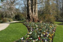 Változékony időjárás