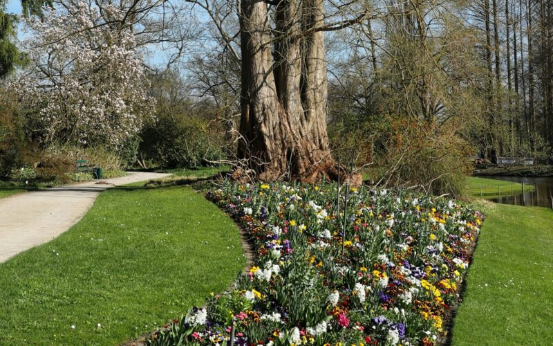 Változékony időjárás