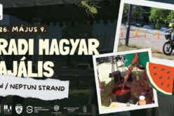 Aradi Magyar Majális