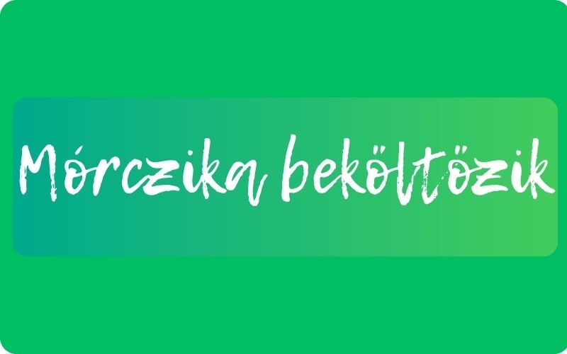 <strong>Mórczika beköltözik</strong>