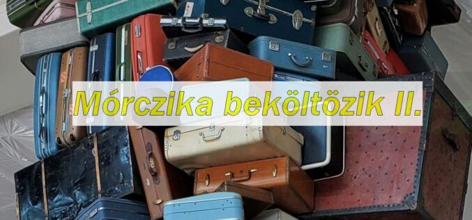 Mórczika beköltözik II.