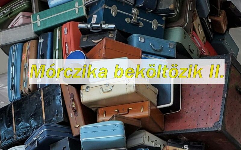 Mórczika beköltözik II.