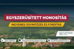 Konzuli fogadónap Aradon
