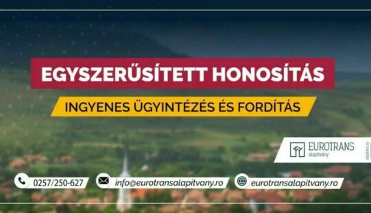 Konzuli fogadónap Aradon