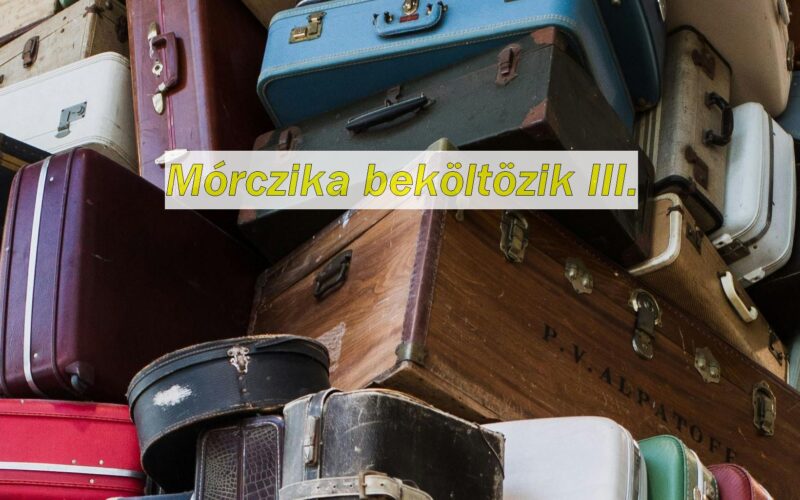 Mórczika beköltözik III.