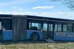 Lepukkant Pito-busz Arad megye határánál, a természet közepén