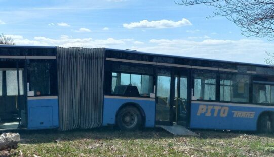 Lepukkant Pito-busz Arad megye határánál, a természet közepén