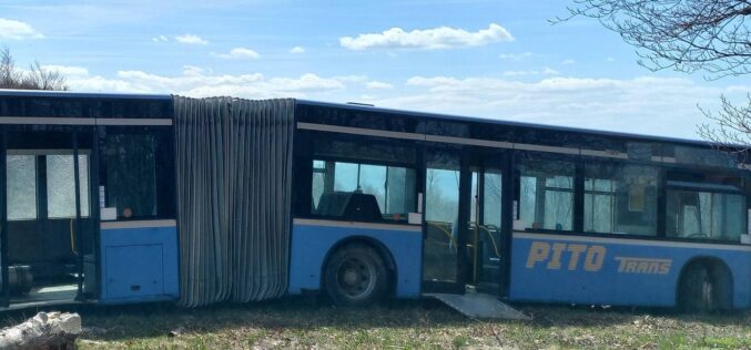 Lepukkant Pito-busz Arad megye határánál, a természet közepén
