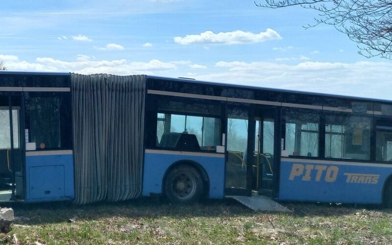 Lepukkant Pito-busz Arad megye határánál, a természet közepén
