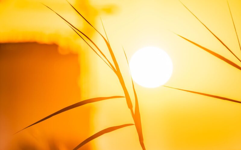 Elsőfokú hőségriasztás