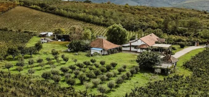 Két éve próbálják eladni Domány József egykori ménesi szőlőbirtokát