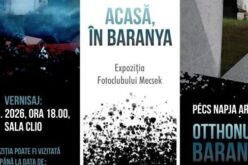 Pécs Napja Aradon