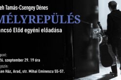 Cseh Tamás és Csengey Dénes: Mélyrepülés
